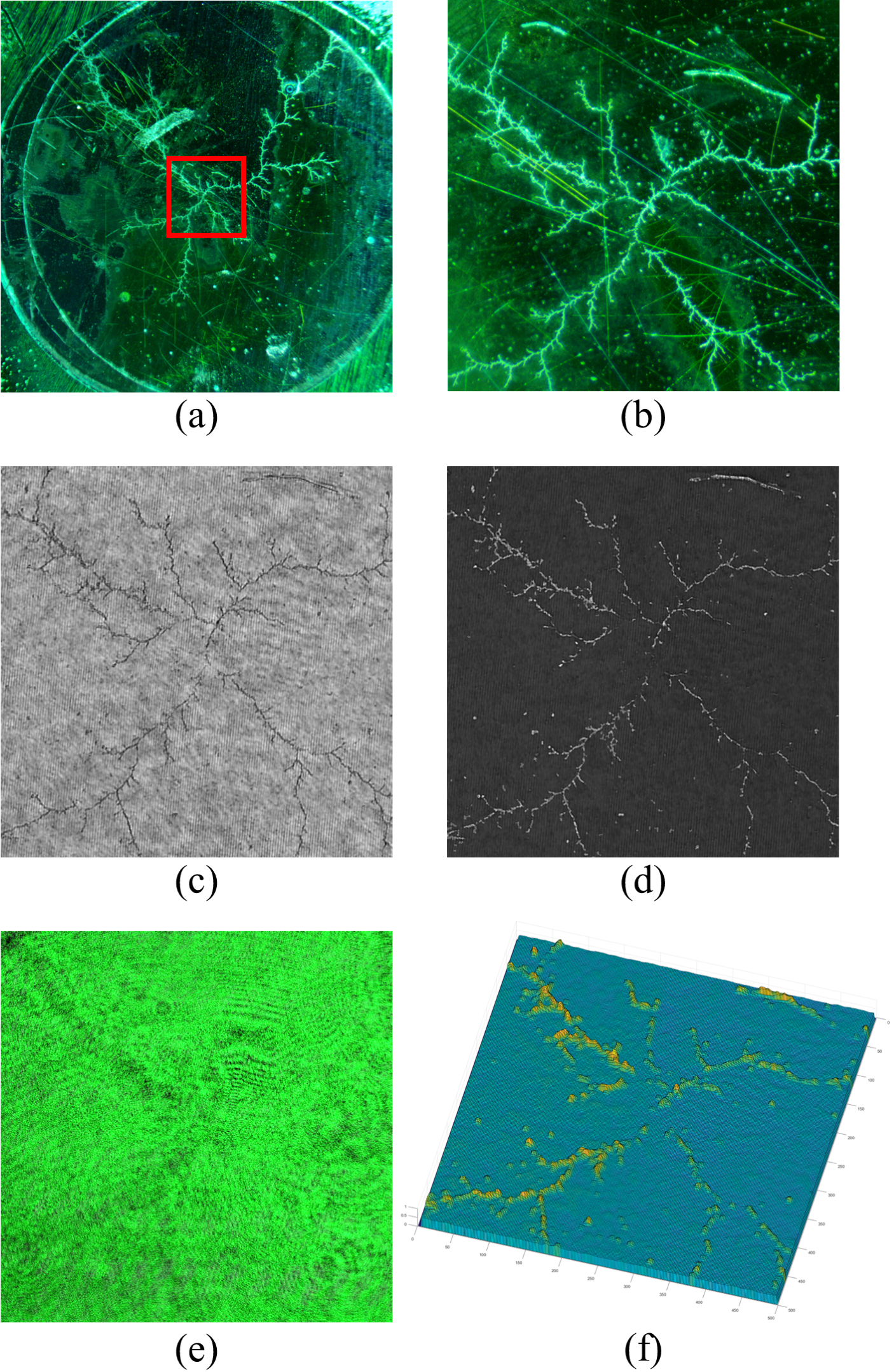 Dendrite Samples